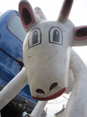 Chèvres-Geisendorf-4NT